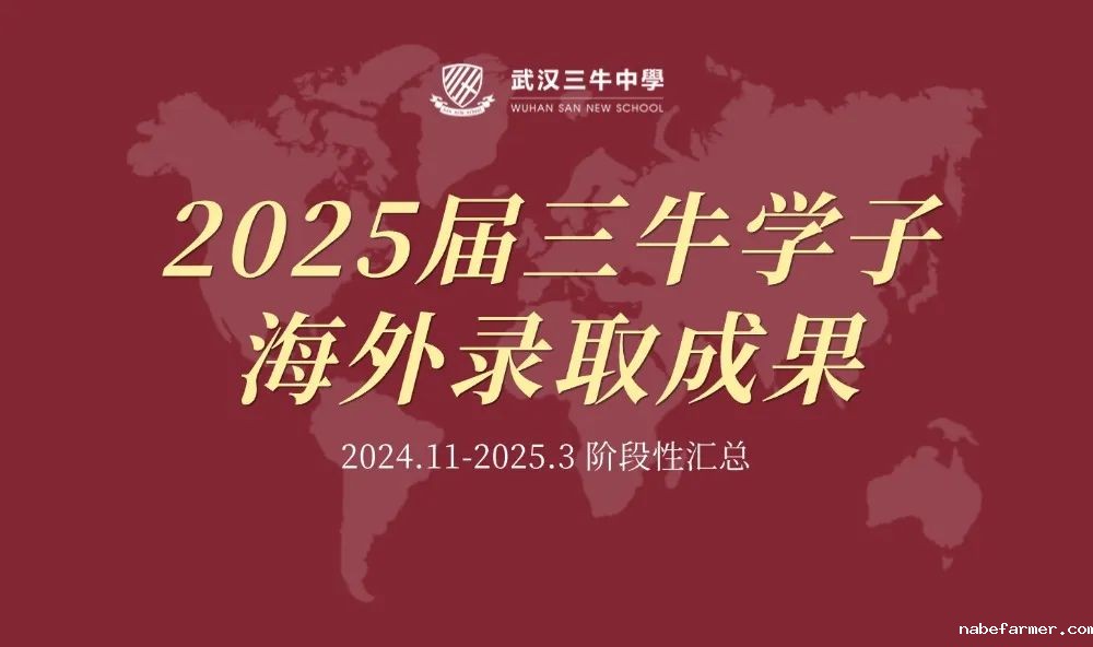 美国Top30、英国Top10、澳加Top3、荷兰Top3、香港Top3…三牛海外录取成果（2025阶段性汇总）