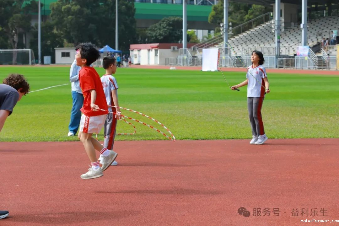 漢鼎事｜揮灑汗水，綻放青春——漢鼎書院2025年度運動會圓滿舉行