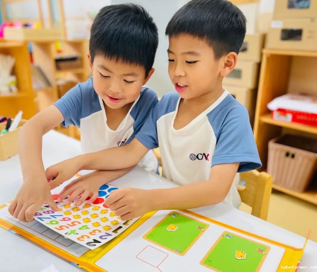 暑期项目报名开启｜这个夏天，在海归探索世界！