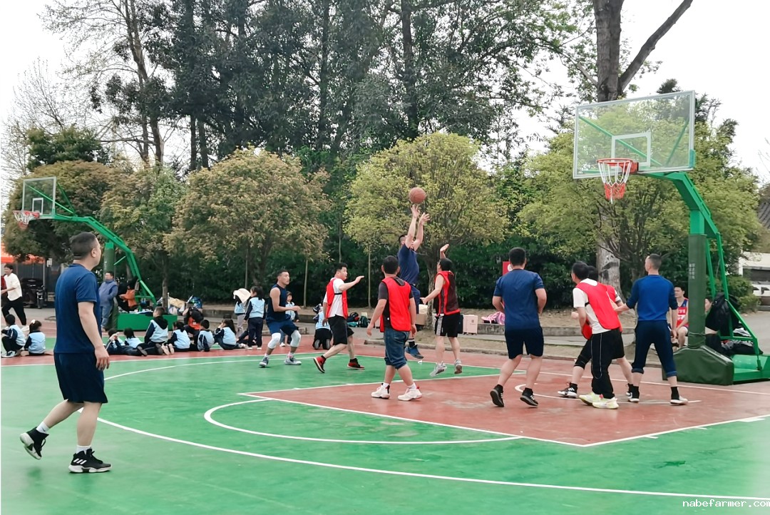篮球跃动校园，汗水浇灌成长
