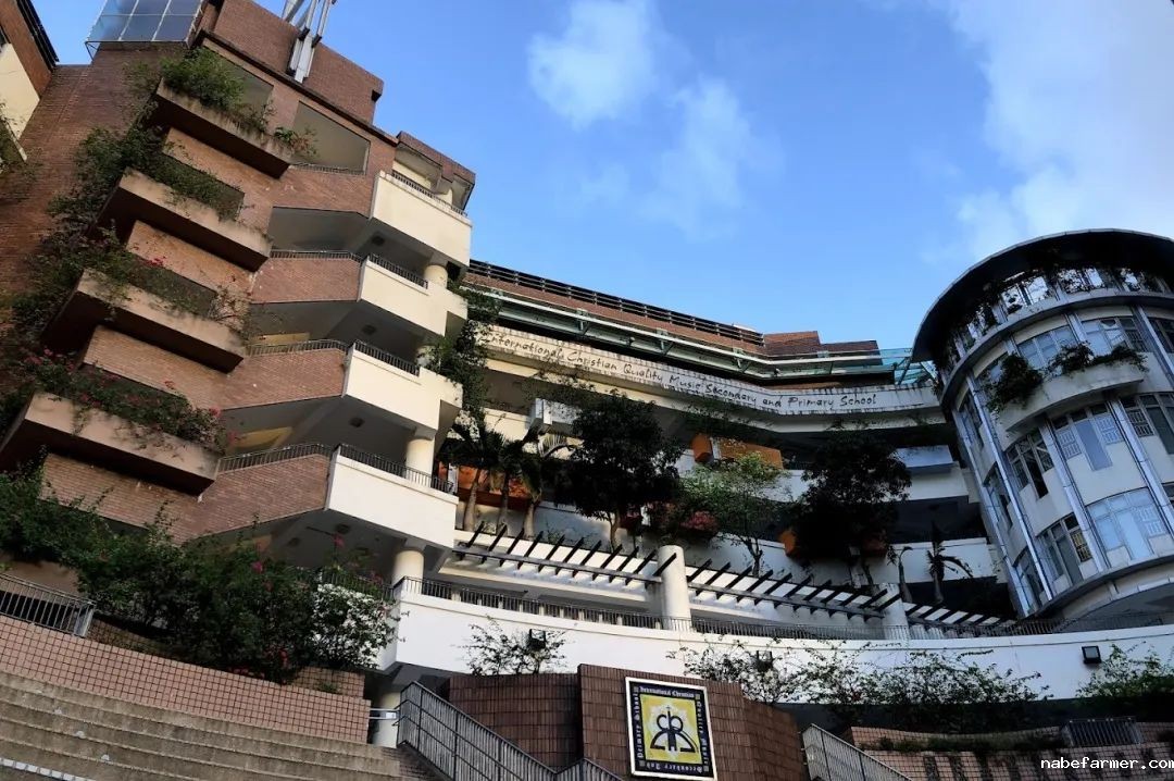 插班季焦虑？25/26学年50+直私小学插班地图