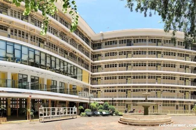 插班季焦虑？25/26学年50+直私小学插班地图