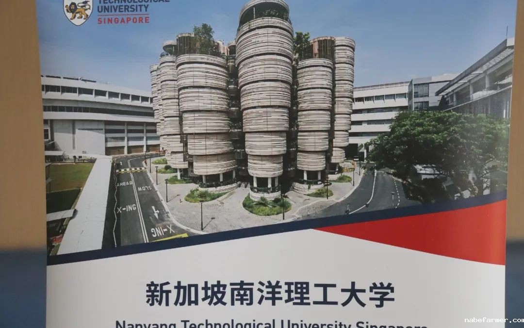 2025春季世界名校大学展 | 对话大学招生官，展望全球