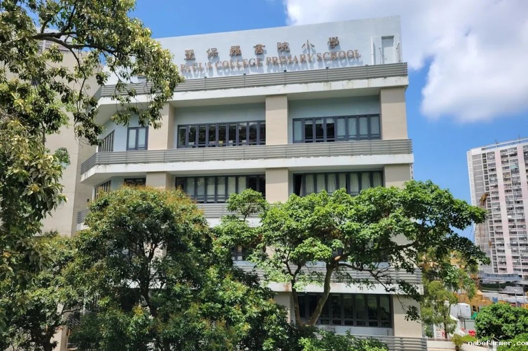 插班季焦虑？25/26学年50+直私小学插班地图
