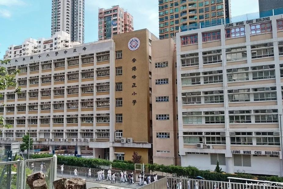 插班季焦虑？25/26学年50+直私小学插班地图