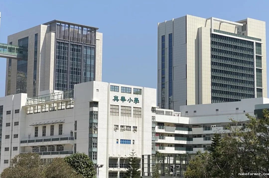 插班季焦虑？25/26学年50+直私小学插班地图