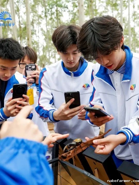 研学日 | 4月春日好，我们开启了一场关于大自然与非遗文化的成长之旅
