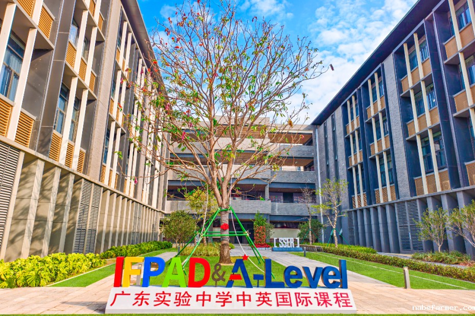 三年耕耘终如愿 | 省实IFPAD 2025届毕业生升学成果分享