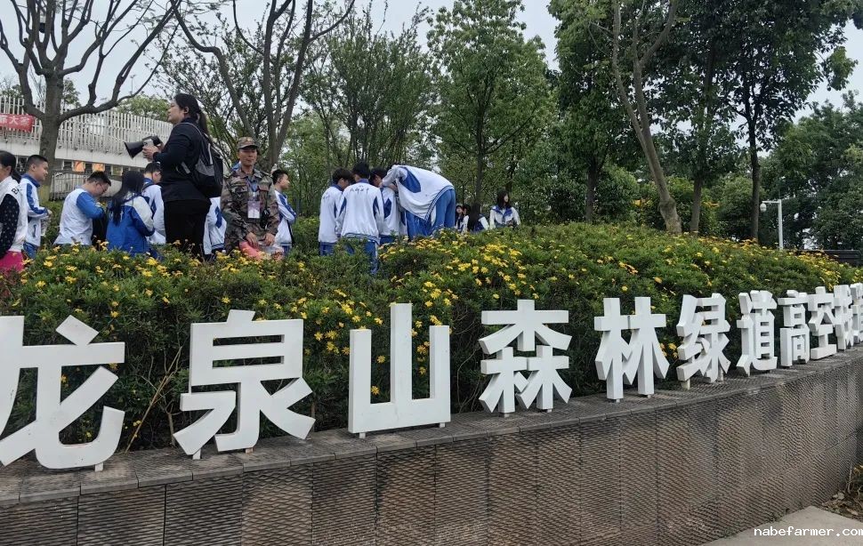 研学日 | 4月春日好，我们开启了一场关于大自然与非遗文化的成长之旅