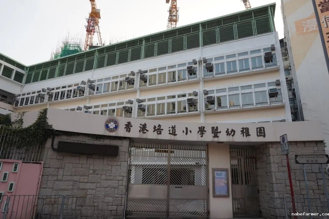 插班季焦虑？25/26学年50+直私小学插班地图