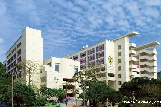 插班季焦虑？25/26学年50+直私小学插班地图