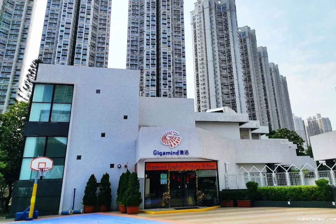 插班季焦虑？25/26学年50+直私小学插班地图