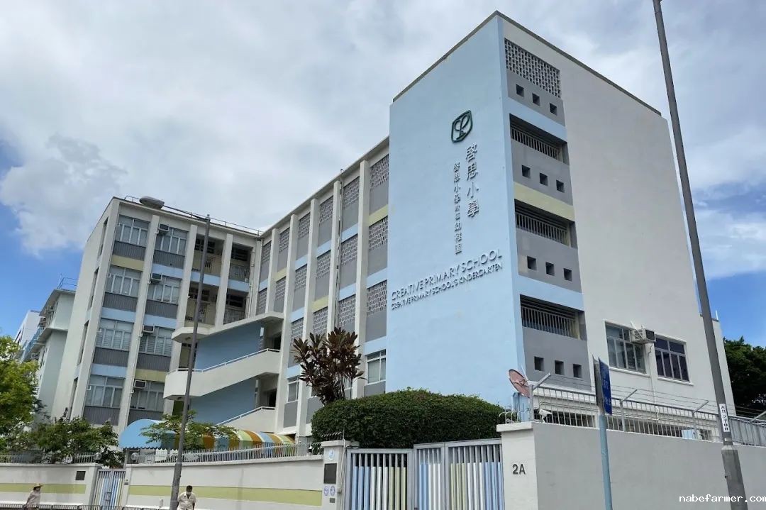 插班季焦虑？25/26学年50+直私小学插班地图
