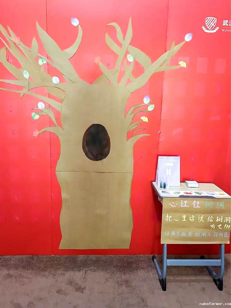 从武汉到芝加哥：三牛女生的西北大学心理学追梦之旅