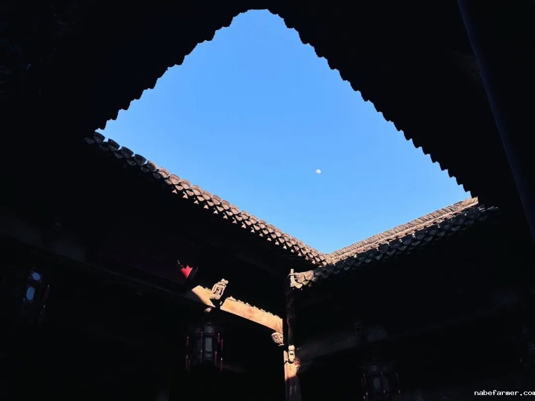 用动画捕捉风的情绪，以热爱舞动青春|青苗中加国际部12年级王梓瑜专访