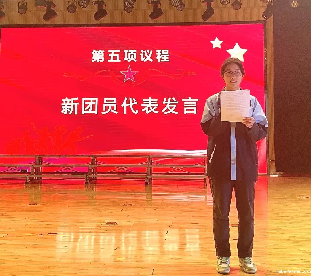 入团仪式丨青衿志远映团徽，灼灼韶华启新程