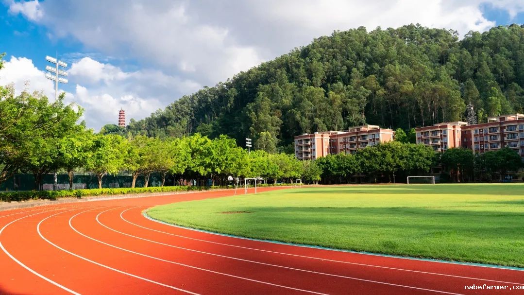 Admission Info | 英东校区首个校园开放日开启报名，共启育人新程！