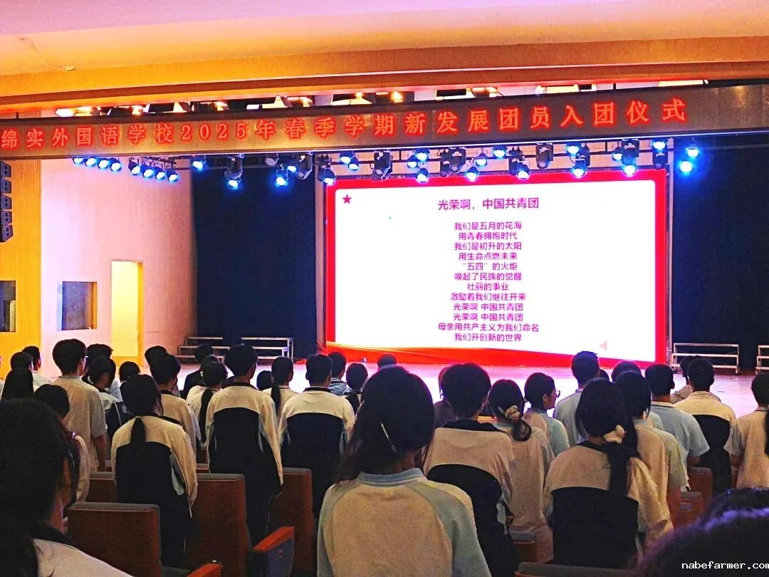 入团仪式丨青衿志远映团徽，灼灼韶华启新程