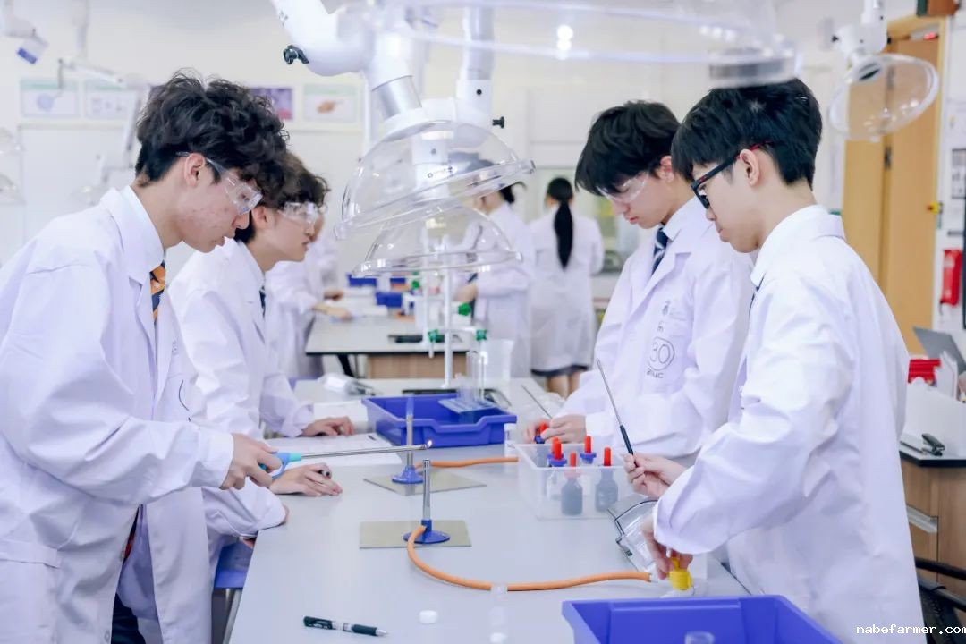 全球Top1大学通关法则首次公开！5月17日，就在哈罗深圳！