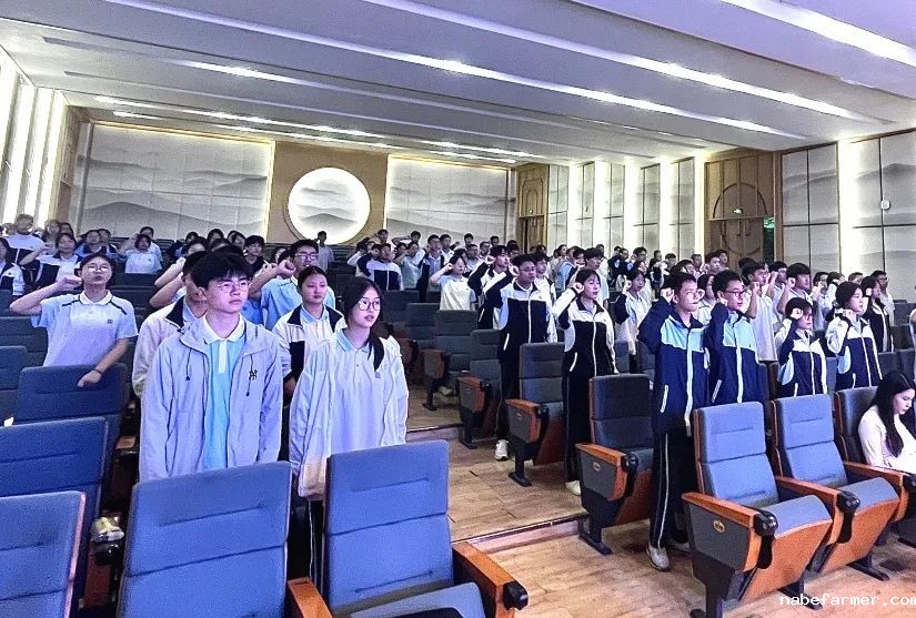 入团仪式丨青衿志远映团徽，灼灼韶华启新程