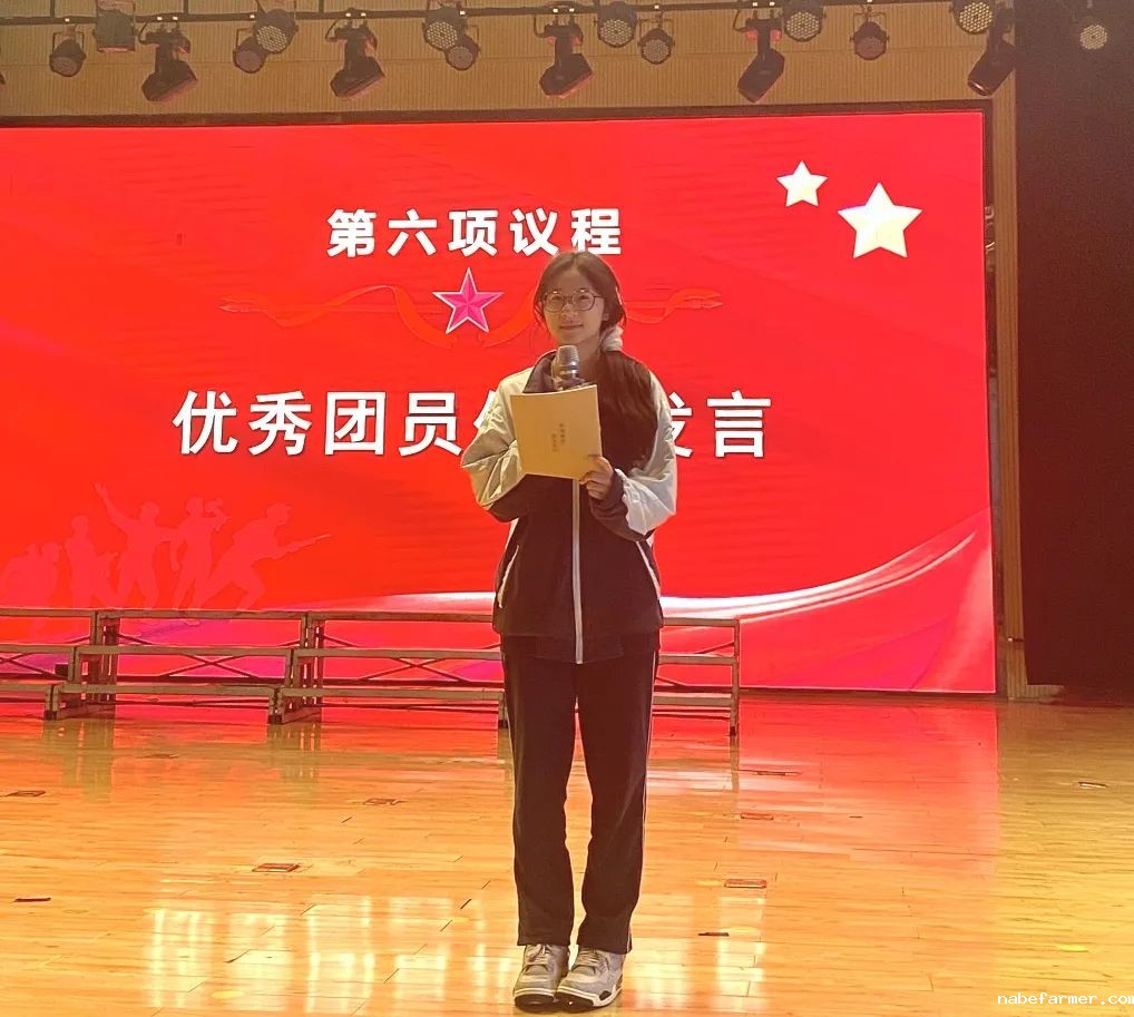 入团仪式丨青衿志远映团徽，灼灼韶华启新程