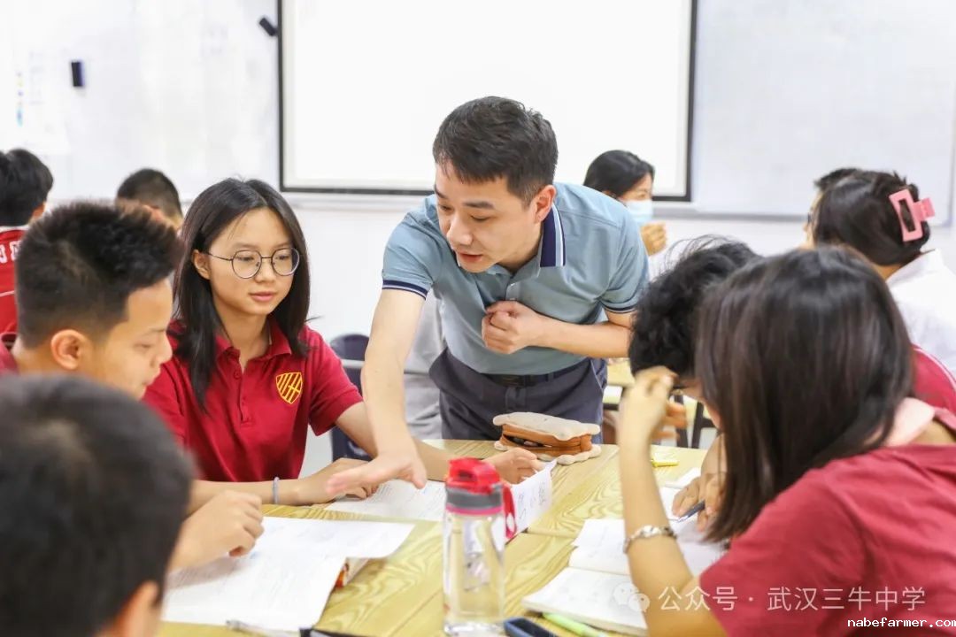 招生代码173 | 武汉三牛中学2025中考志愿填报指南