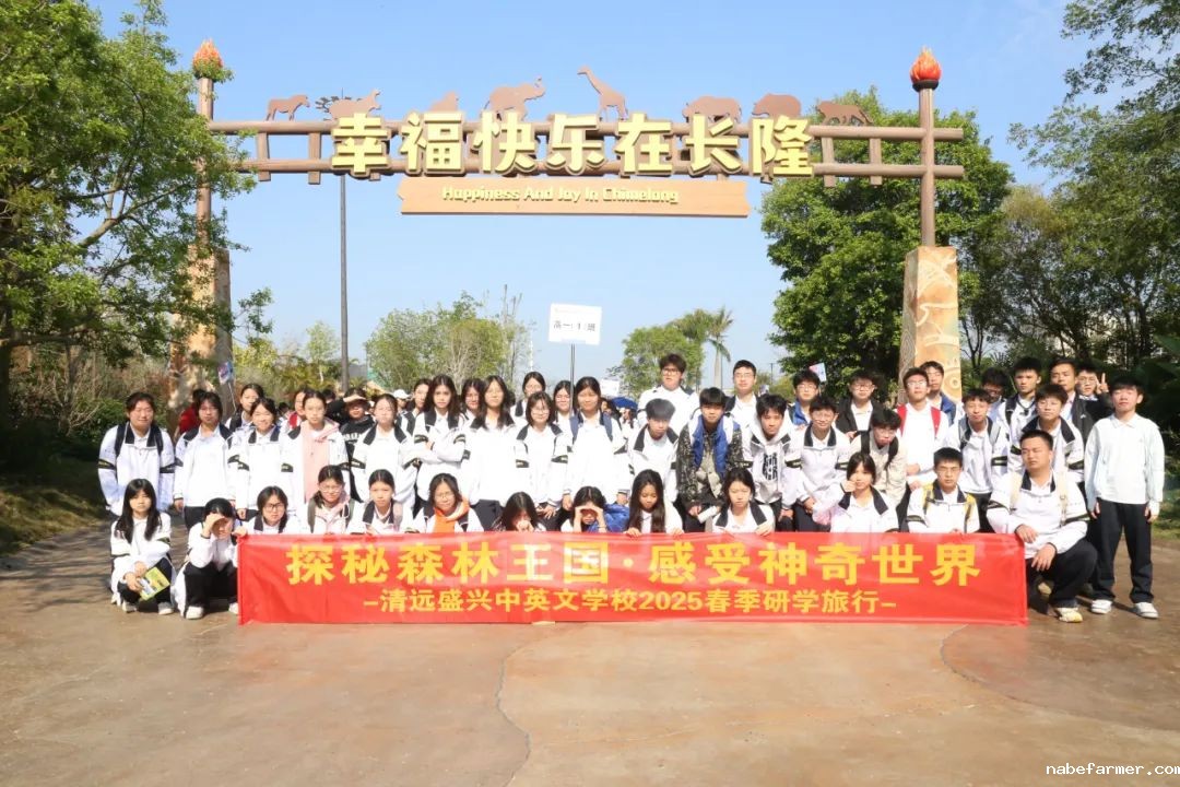 探秘森林王国，寻根岭南情韵｜我校高中研学旅行精彩回放