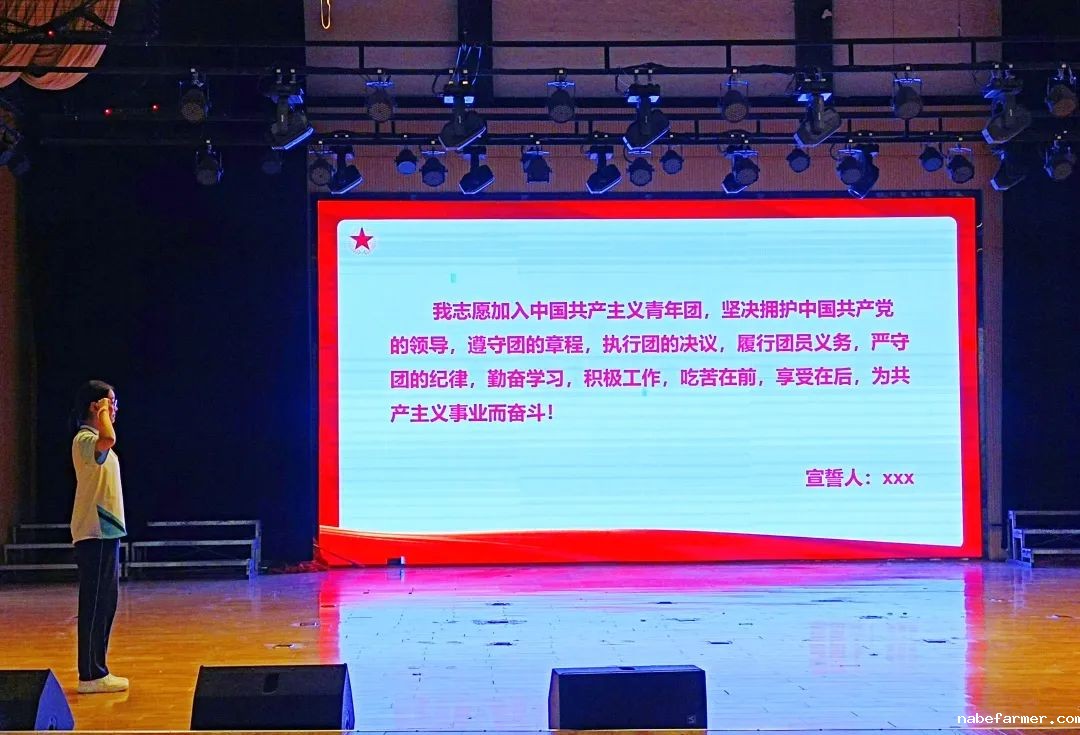 入团仪式丨青衿志远映团徽，灼灼韶华启新程