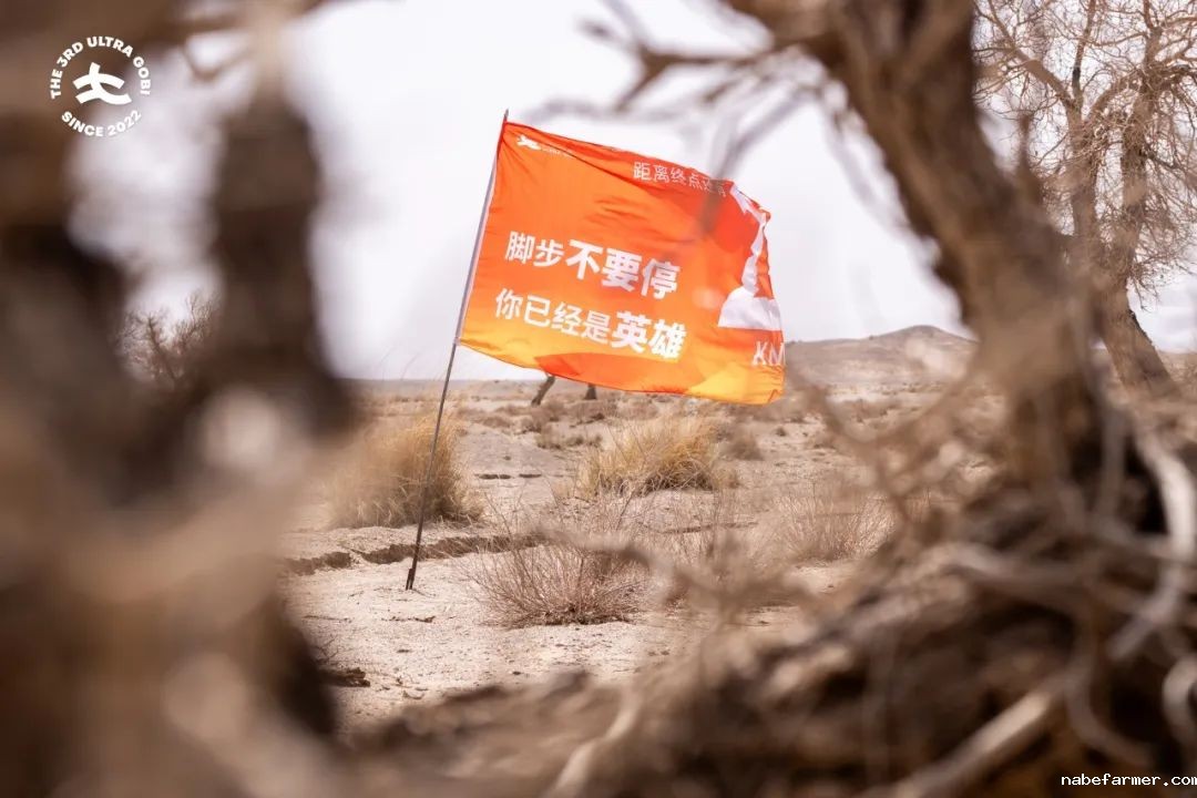 第三届戈壁挑战赛完赛｜烈日晒不化坚持，风沙吹不垮少年