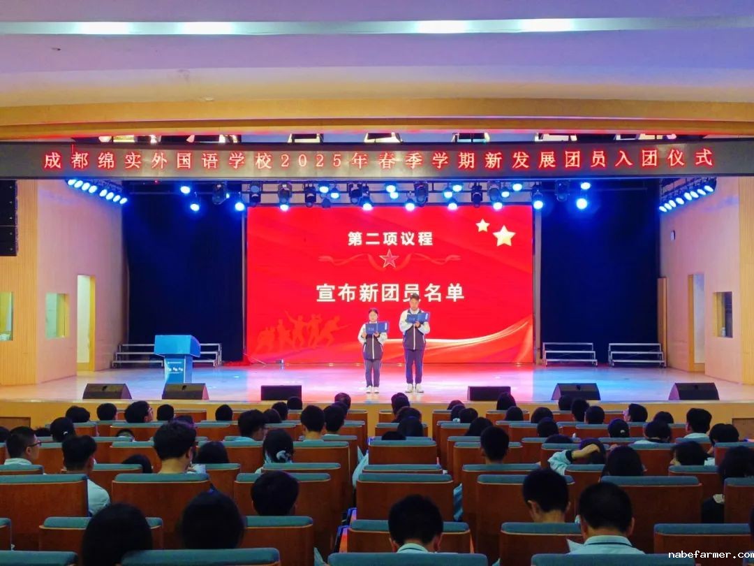 入团仪式丨青衿志远映团徽，灼灼韶华启新程