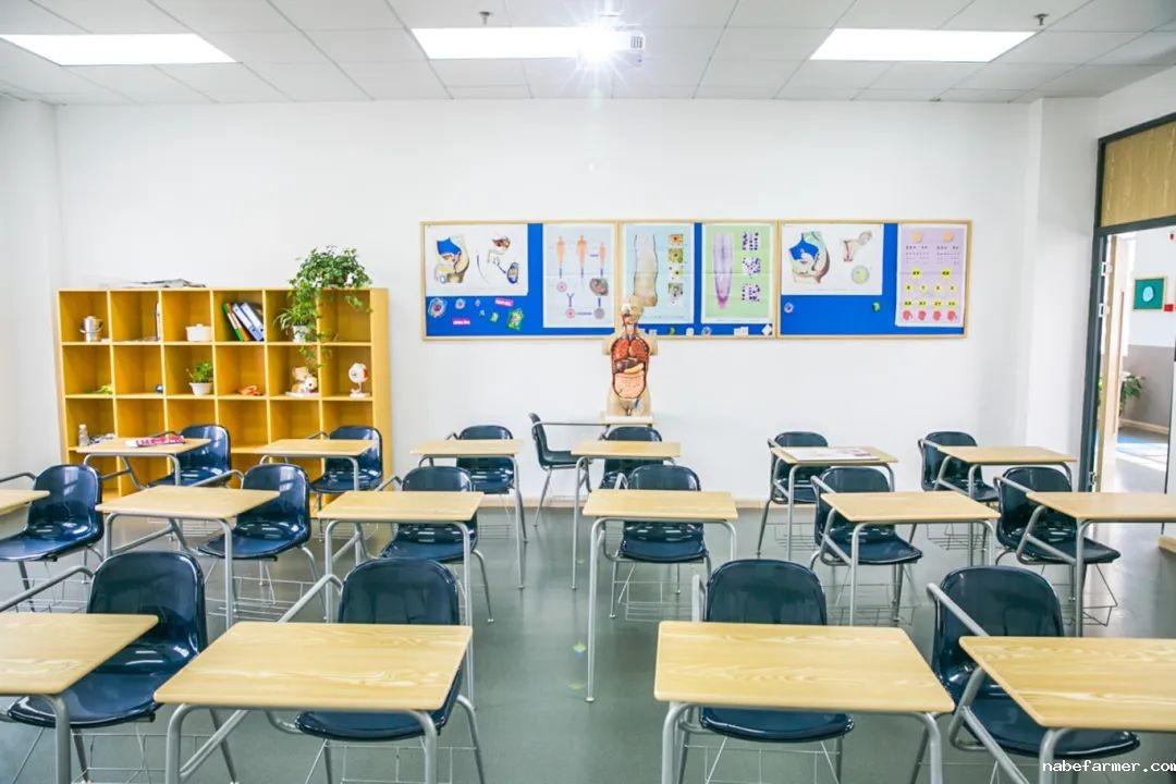 招生代码173 | 武汉三牛中学2025中考志愿填报指南
