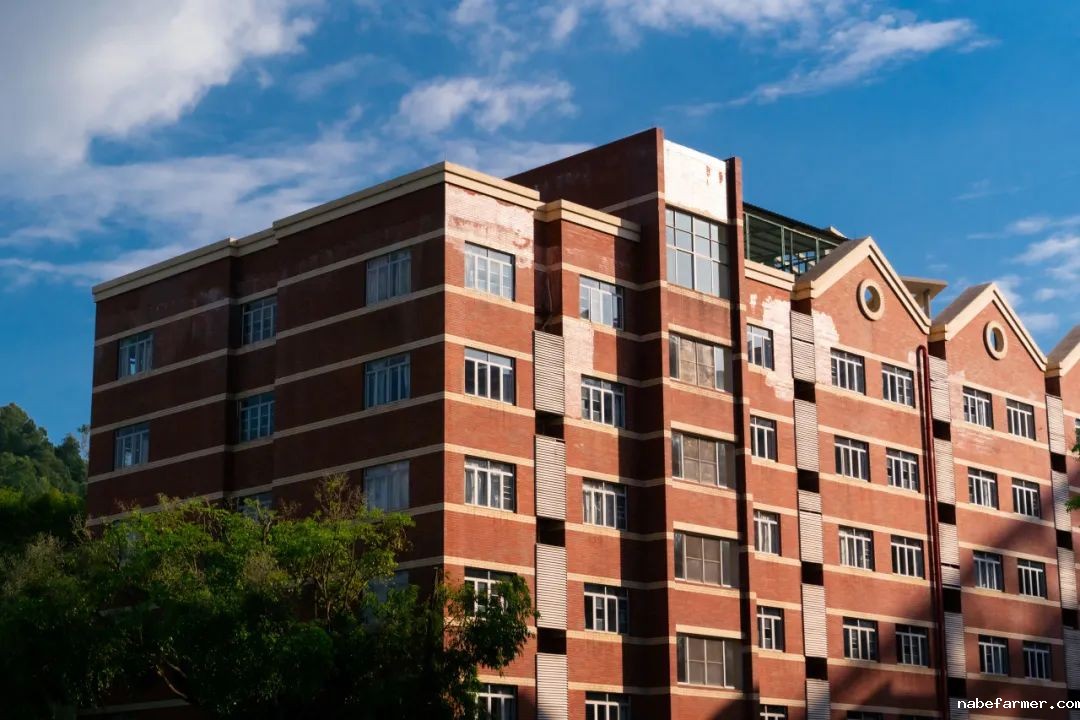 Enrollment Information | 2025-2026学年秋季A-Level国际课程招生简章