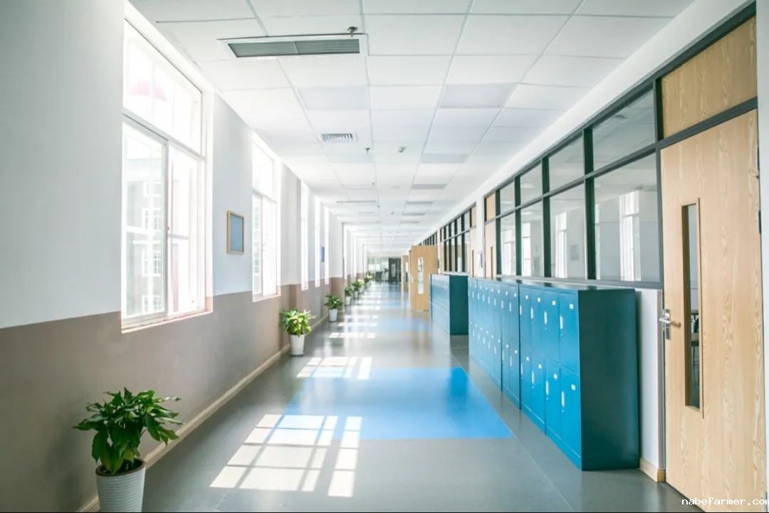 招生代码173 | 武汉三牛中学2025中考志愿填报指南