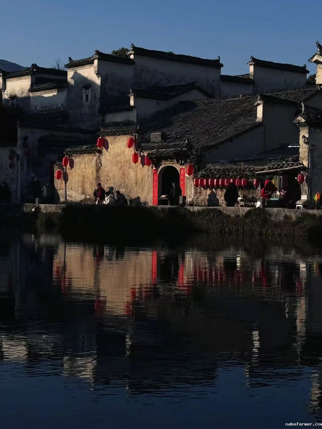 用动画捕捉风的情绪，以热爱舞动青春|青苗中加国际部12年级王梓瑜专访