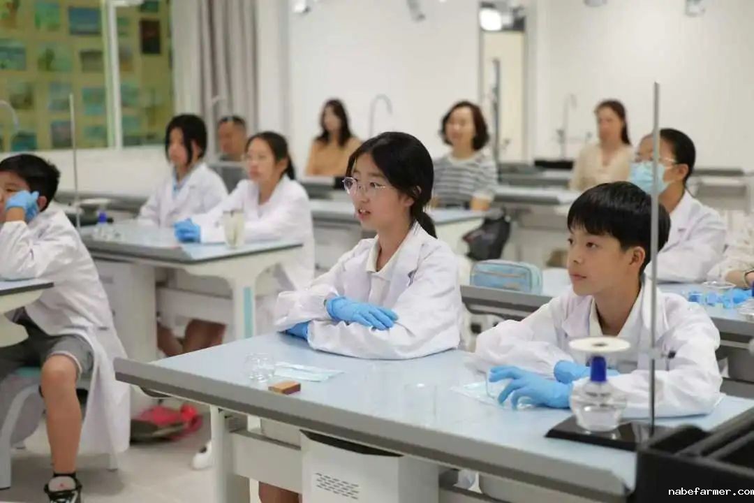 开创双赢升学新路径-为明国际部GTP融合实验班太香了！