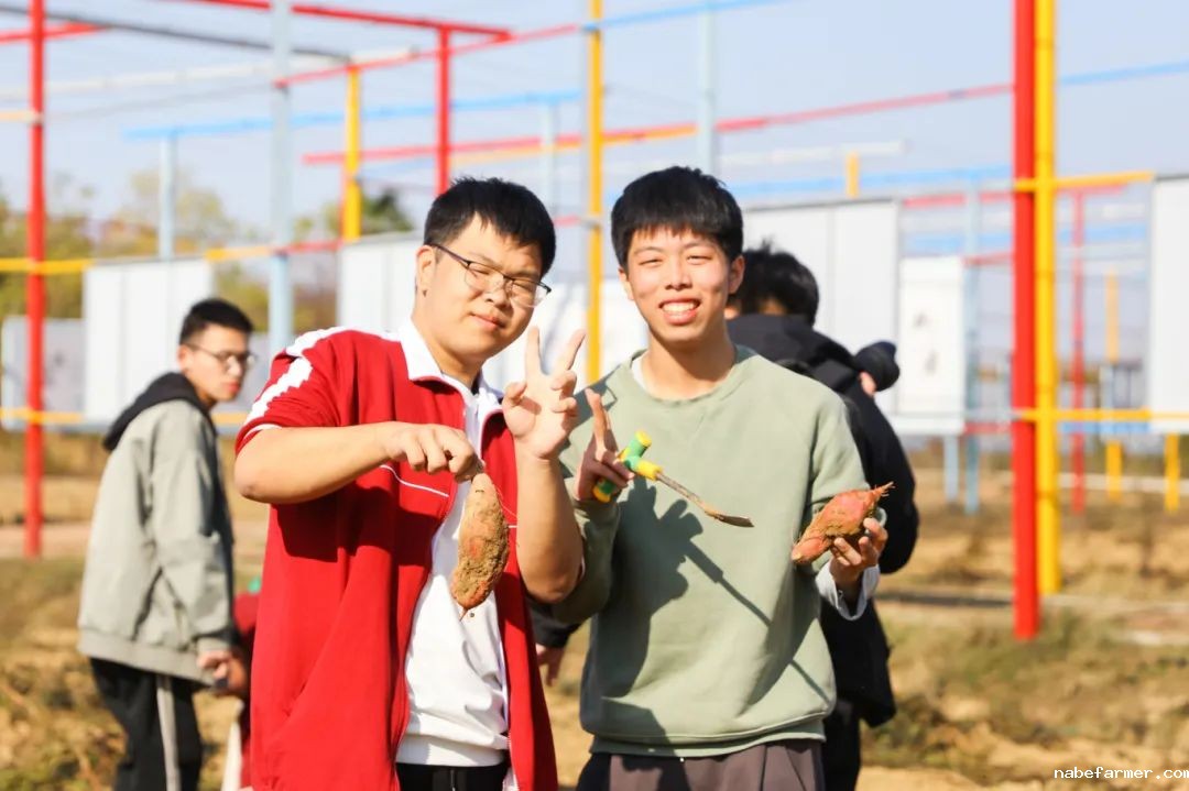 孩子入读三牛，习惯、成绩、情商三重飞跃！ | 国内高中部