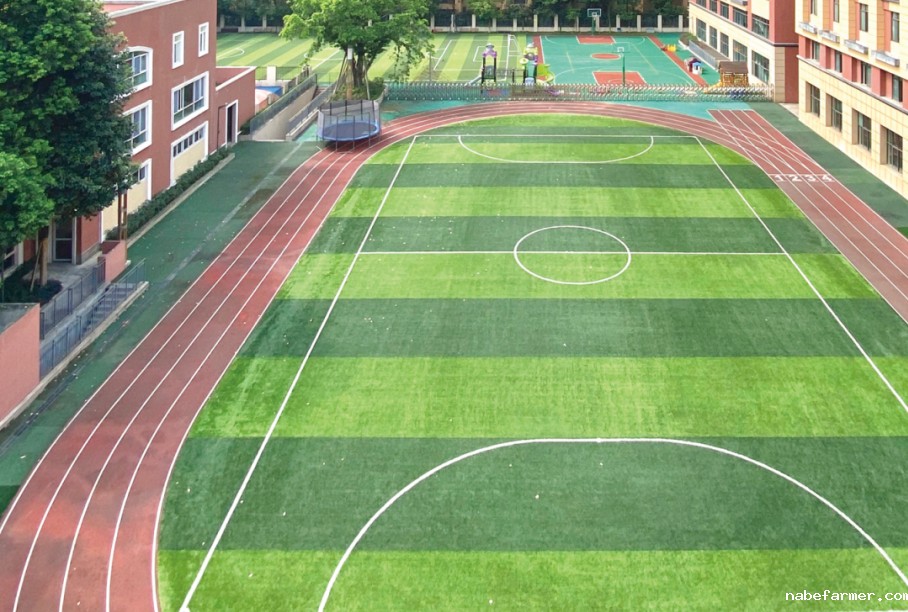 锦秋•沃顿公学 | 培养具有中国根基和全球胜任力的中国青少年！