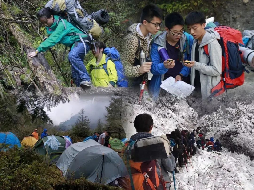 锦秋•沃顿公学 | 培养具有中国根基和全球胜任力的中国青少年！