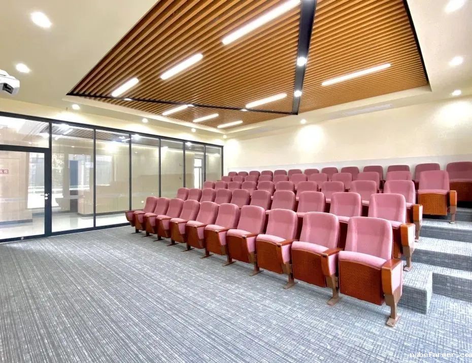 锦秋•沃顿公学 | 培养具有中国根基和全球胜任力的中国青少年！