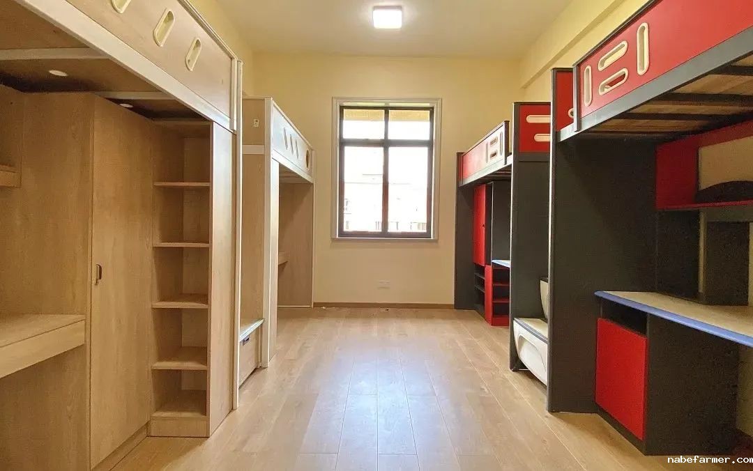 锦秋•沃顿公学 | 培养具有中国根基和全球胜任力的中国青少年！