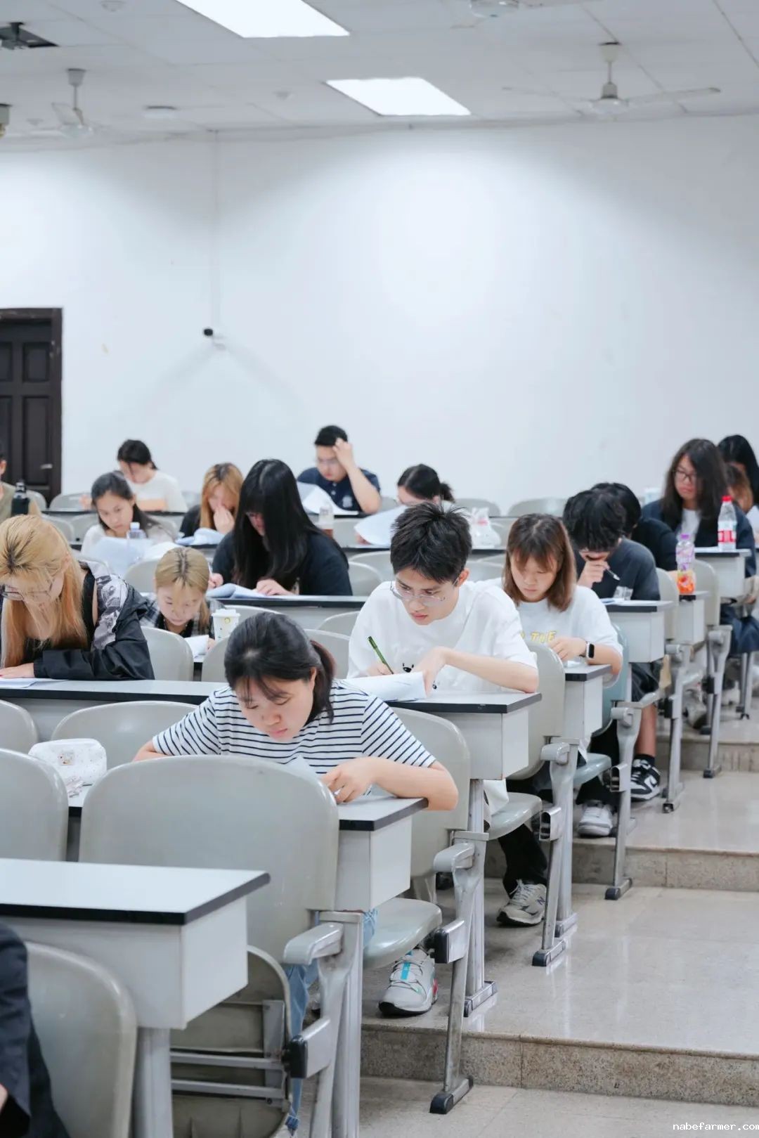 25年期末考试｜雅思实战 + 学科测评助力升学之路