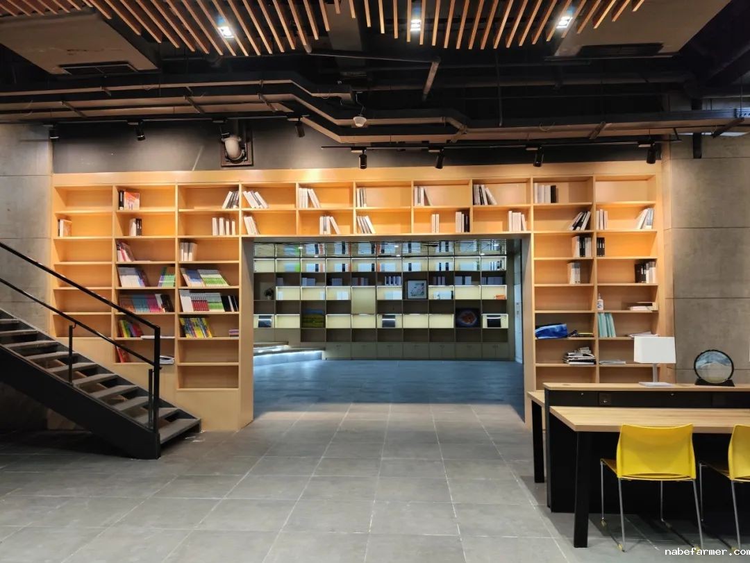 锦秋•沃顿公学 | 培养具有中国根基和全球胜任力的中国青少年！