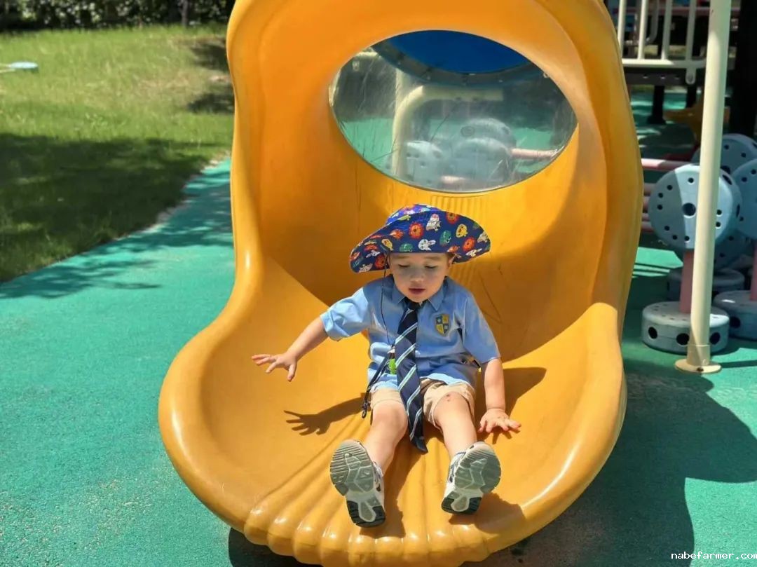 CISK’s Youngest Learners｜A Glimpse into Their Everyday Moments