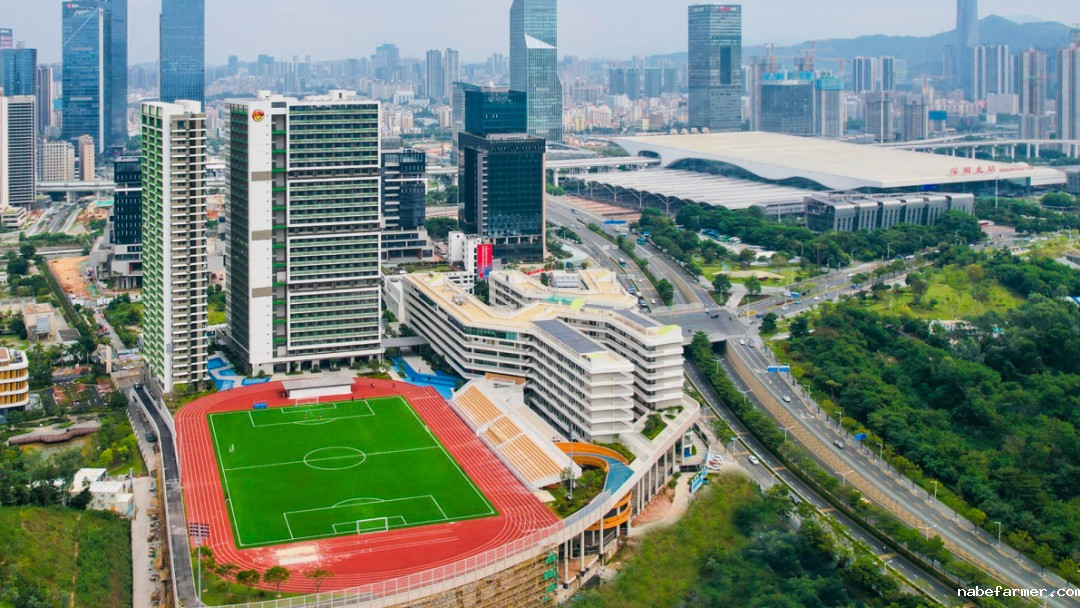 曝光！大湾区90%港前三生源，原来都扎堆在这几所学校！