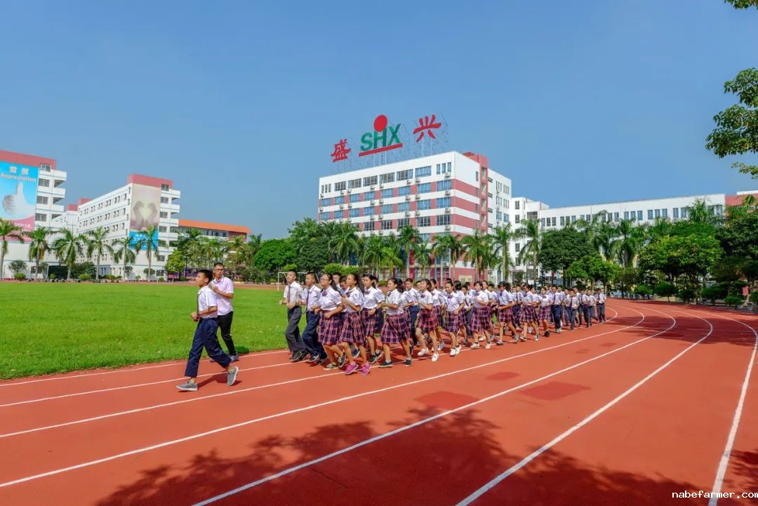 盛兴高中部：名师引领筑根基，多元成长向未来！