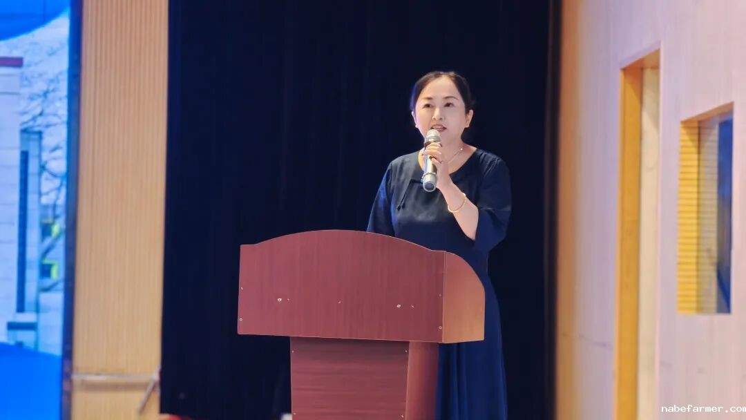 以党建引领铸魂，以AI赋能启智，以实干落实育人