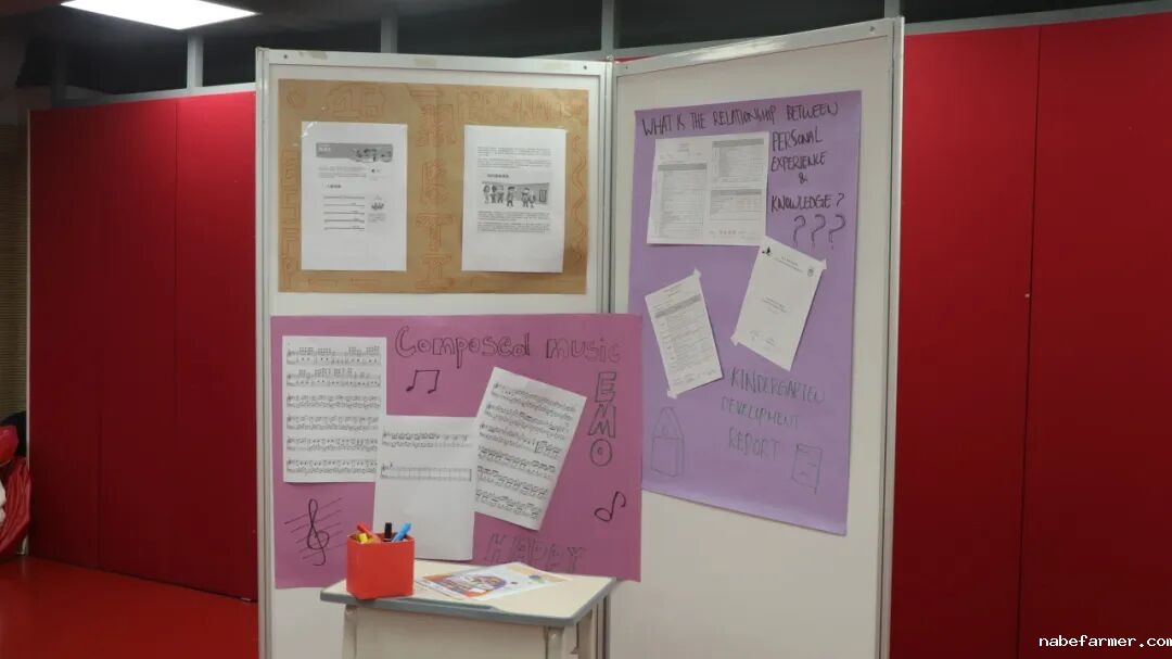 漢鼎事｜思維之光：漢鼎書院十三年級TOK展覽引領探索知識之旅