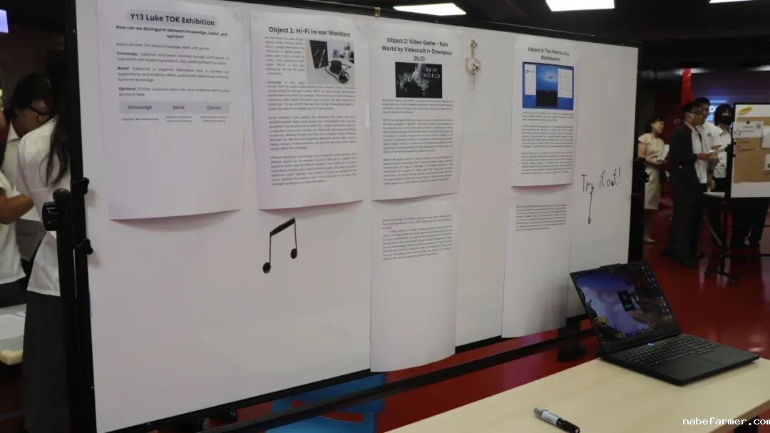 漢鼎事｜思維之光：漢鼎書院十三年級TOK展覽引領探索知識之旅