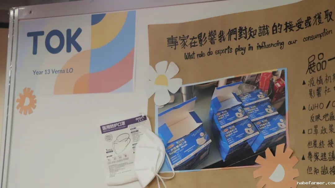 漢鼎事｜思維之光：漢鼎書院十三年級TOK展覽引領探索知識之旅