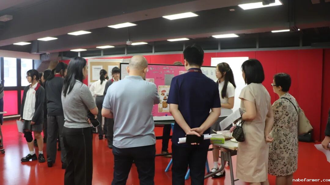 漢鼎事｜思維之光：漢鼎書院十三年級TOK展覽引領探索知識之旅